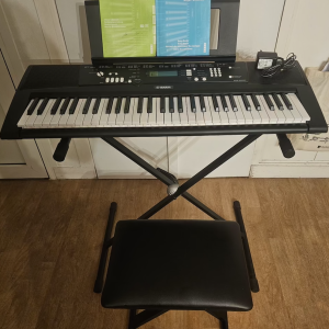 Yamaha EZ-220