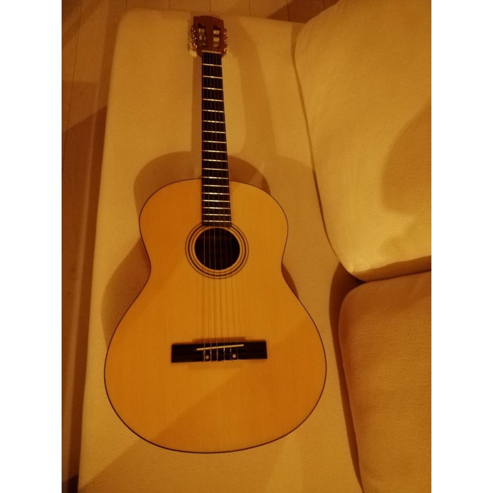 Fender acoustics esc105