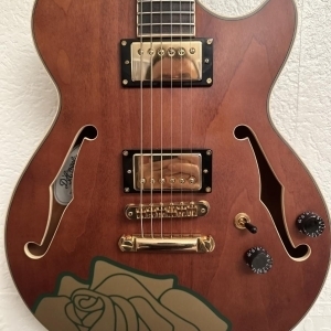 D'angelico ss grateful dead