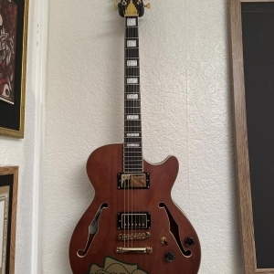 D'angelico ss grateful dead