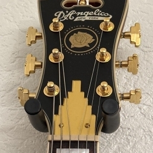 D'angelico ss grateful dead