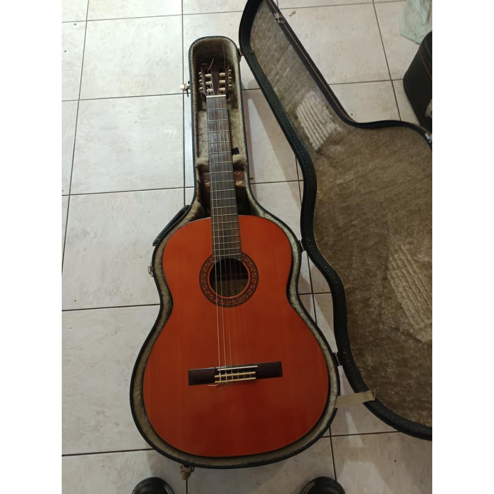 Suzuki guitare classique