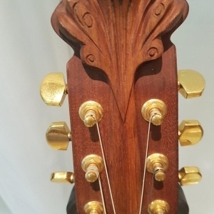 Ovation Adamas 1687-8