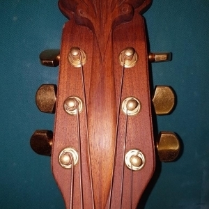 Ovation Adamas 1687-8