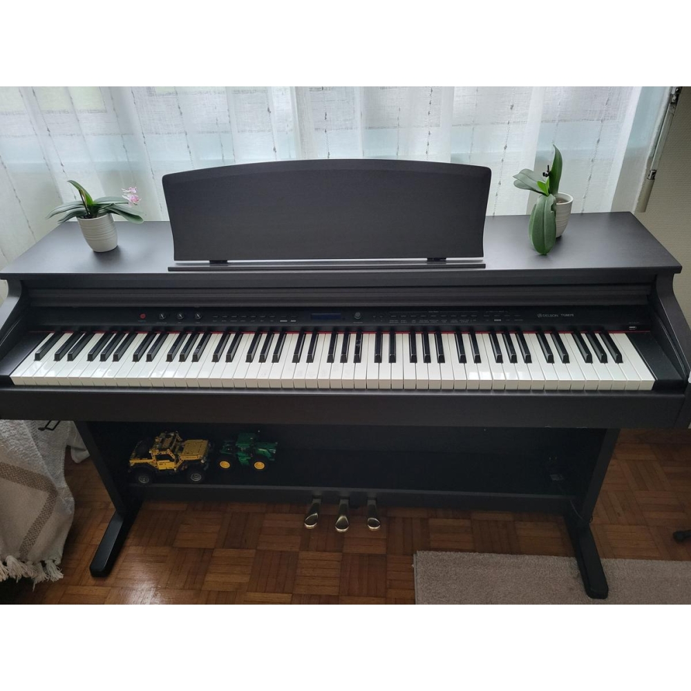 Delson TG8876 - piano numérique