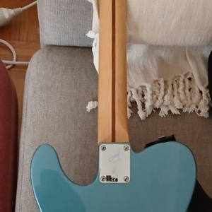 Fender Telecaster Player Serie