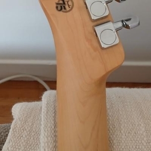 Fender Telecaster Player Serie