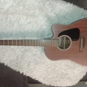 Takamine G-series