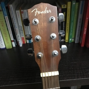 Fender DG-8S-NAT