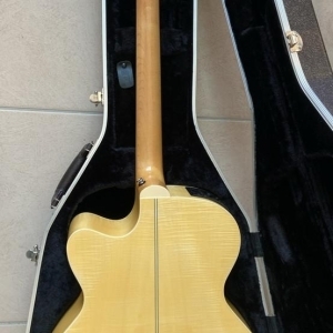 Takamine EG523SC avec housse