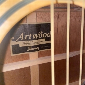 Ibanez Artwood AW300-NT