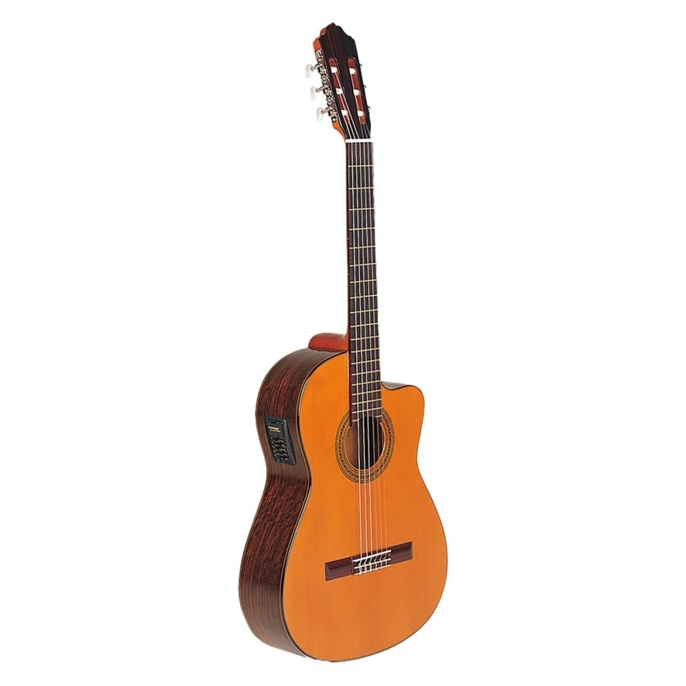 Guitare Esteve 3CE Pan Coupe Fishman