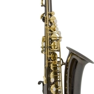 Saxophone Alto Trevor James 371ABK