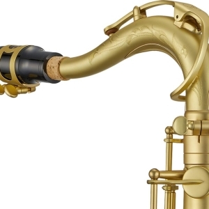 Bocal Saxophone Tenor Antigua TS4348CU (sans bec)