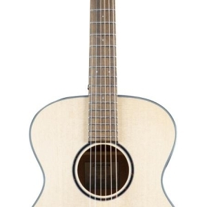 Breedlove Discovery S Concert Lh Gaucher