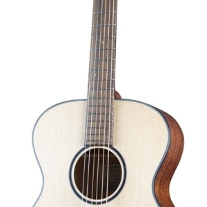 Breedlove Discovery S Concert Lh Gaucher