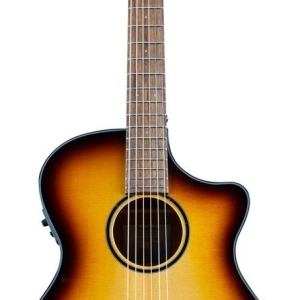 Breedlove Discovery S Concerto Ce Edge