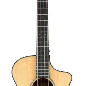 Breedlove Pursuit Concert Basse Ce Lr B.