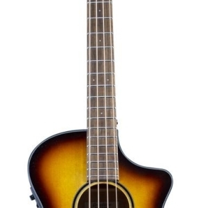 Breedlove Discovery S Concert Edge Basse