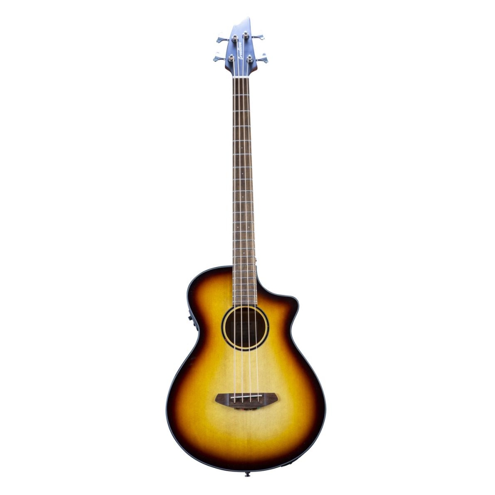 Breedlove Discovery S Concert Edge Basse