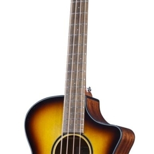 Breedlove Discovery S Concert Edge Basse