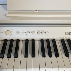 Casio Celvanio