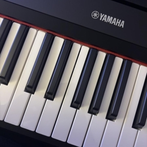 Yamaha NP-15B