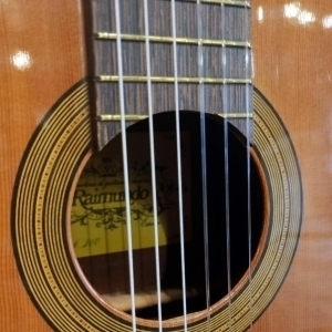 Raimundo Model 100