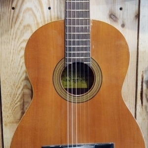 Raimundo Model 100