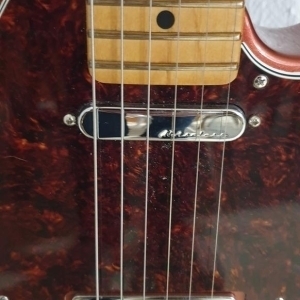 Telecaster Player Plus 2021