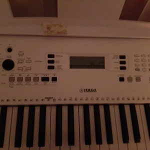 Yamaha EZ-300