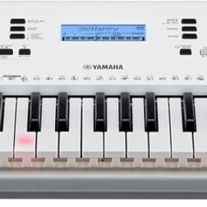 Yamaha EZ-300