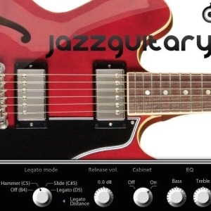 Acousticsamples JazzGuitarysm