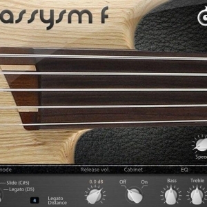 Acousticsamples Bassysm-F