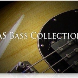 Acousticsamples AS Bass Collection