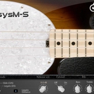 Acousticsamples Bassysm-S