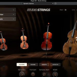 AIR Music Technology Studio Strings