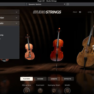 AIR Music Technology Studio Strings