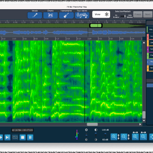 AudioSourceRE DeMIX Pro