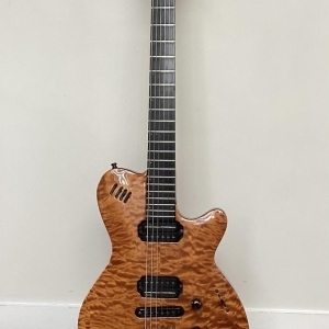 Godin LGX