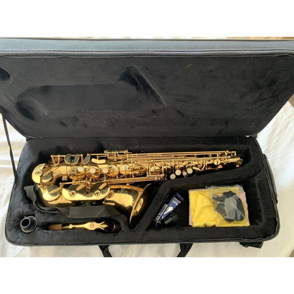 Roy Benson Alto AS 202 - Saxophone alto