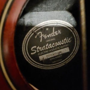 Squier by Fender Stratacoustic