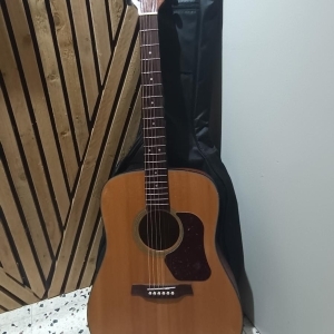 Guitare acoustique Walden D555