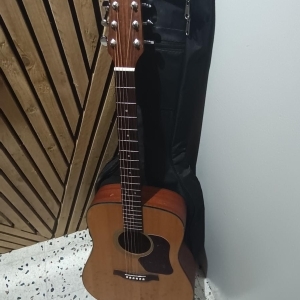 Guitare acoustique Walden D555