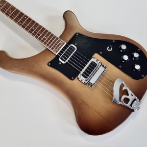 Rickenbacker 480 AutumnGlo 1976