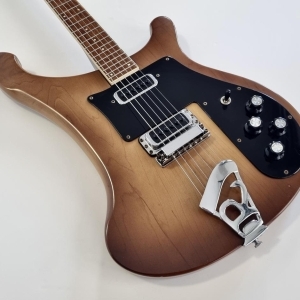 Rickenbacker 480 AutumnGlo 1976