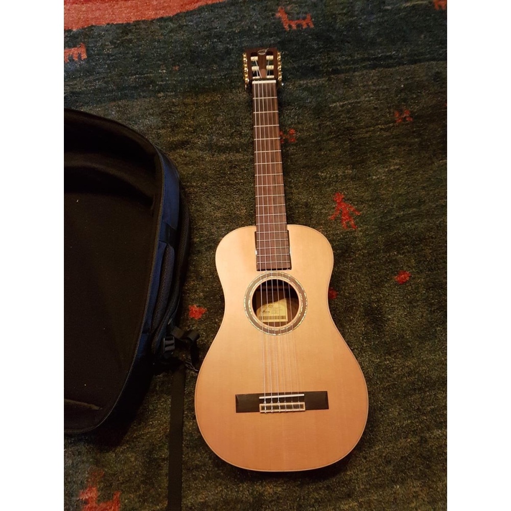 Journey instruments OC 520 - Guitare électro acoustique