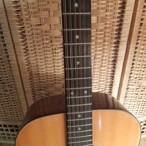 Hondo 2 Guitare 12 cordes