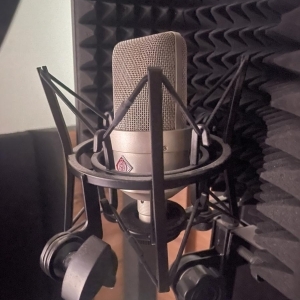 Micro Neumann TLM 103