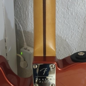 Telecaster Player Plus 2021 à vendre ou à échanger